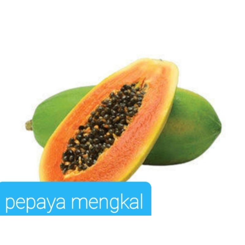 

pepaya mengkal/pepaya rujak