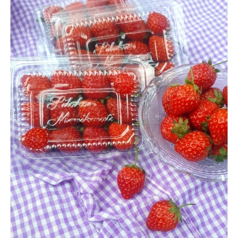 

Stroberi Fresh C Ukuran Mika Mini