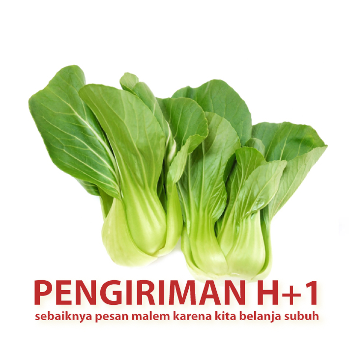 

Pak Choy Pok choy Bok choy pakchoy sayuran segar