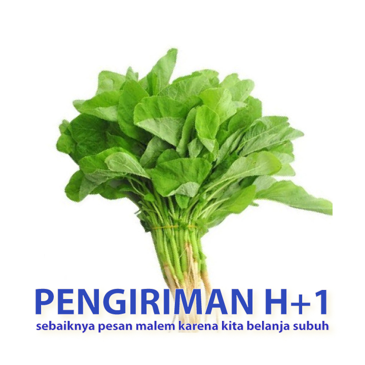 

Bayam daun kecil sayuran segar