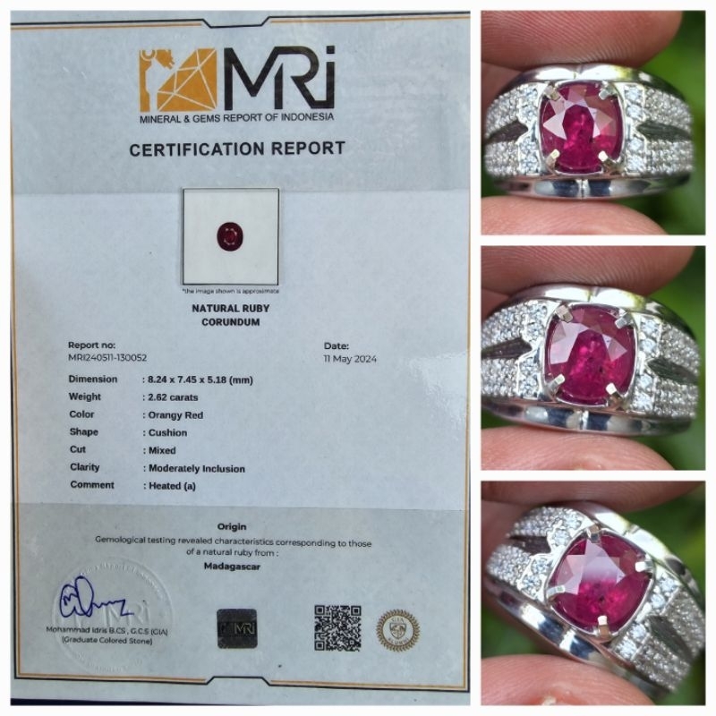 Natural Orangy Red Ruby Heat a Sertifikat 2.62 crt