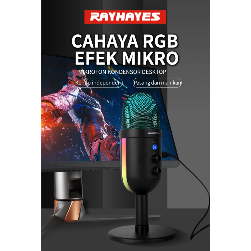 RAYHAYES RGB Mikrofon USB Kondensor Mikrofon Gaming Mikrofon Streaming Mini Portabel Ultra-kompak