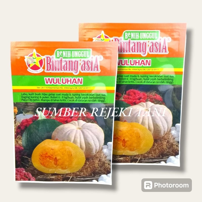 Benih Labu Kuning Wuluhan Bintang Asia 10gram