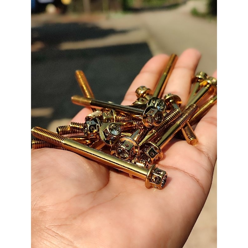 Baut Probolt bak block krengkes kanan kiri megapro tiger gl