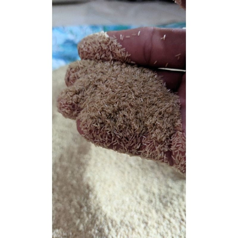 [BISA COD]Telur Jangkrik Madu Kunyit kamasan 1kg (1000g)