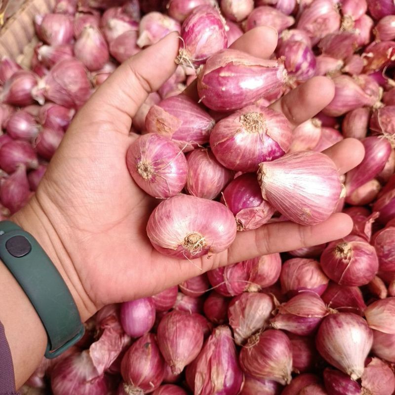 

Bawang merah / Brambang 150gr Bumbu Dapur Semarang