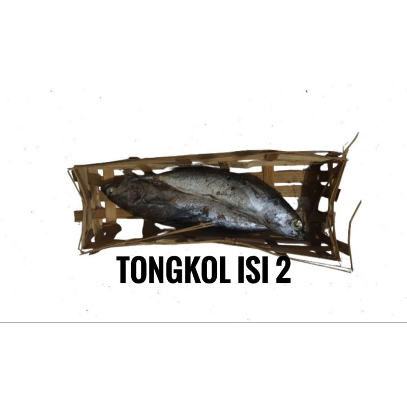 

TONGKOL ISI 2 PER BESEK KUALITAS PREMIUM FRESH UMIK PINDANG SURABAYA