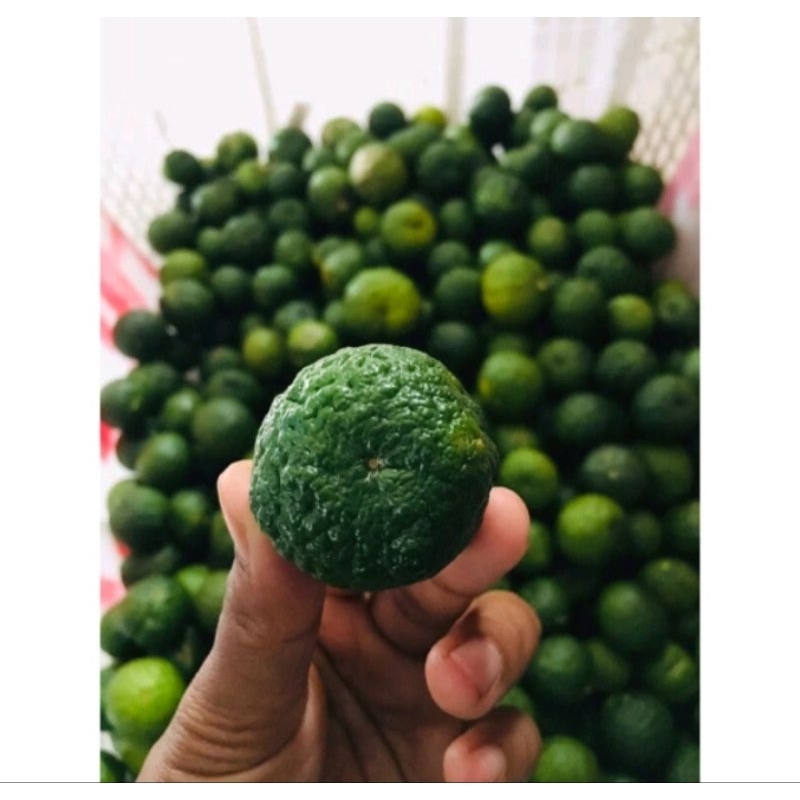 

JERUK LIMO ATAU JERUK KASTURI SUMATRA BARAT berat 500gr