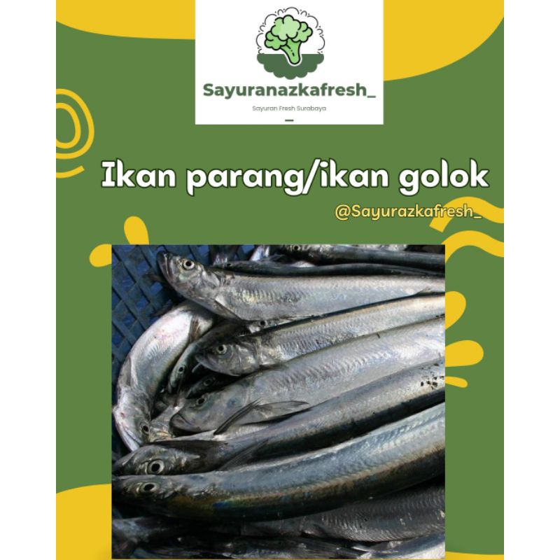 

ikan parang [±1kg]