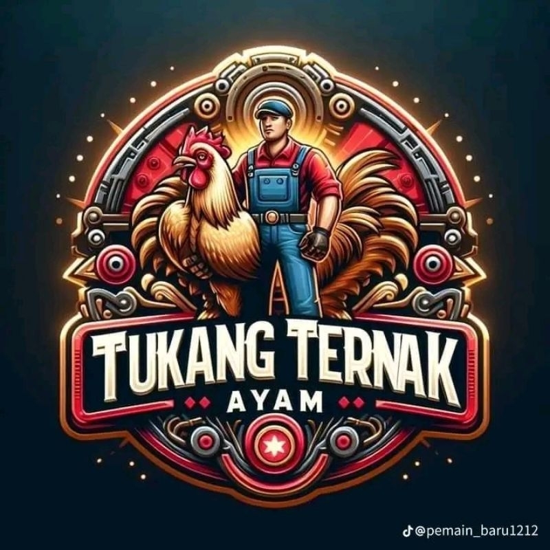 anakan shamo eropa jantan