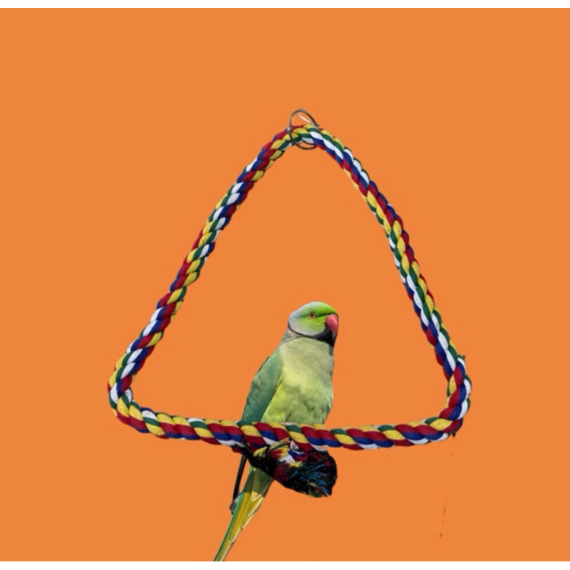 Parrot Toys Mainan Parrot Tali Burung Kakatua Macaw Falk Conure