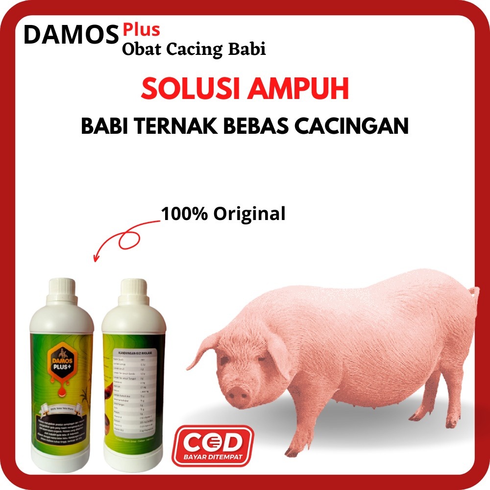 Damos Plus obat penggemuk babi | Obat cacing babi, Suplemen penggemuk babi, obat vitamin untuk terna
