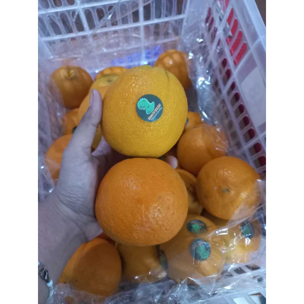 

SUNKIST MESIR. SUNKIST JUICE. MANIS SEGAR. FRESH. JERUK PERAS SUNKIST