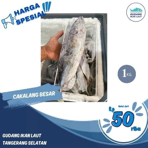 

IKAN CAKALANG LAUT FROZEN FRESH 1KG