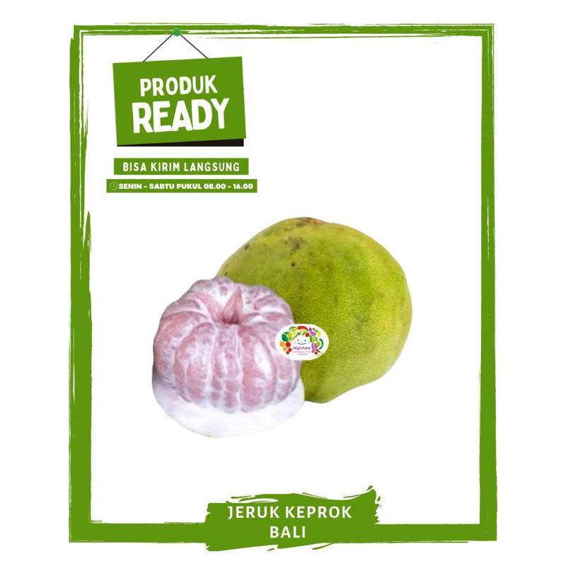 

Jeruk Keprok Bali / Pomelo / Buah Buahan Segar Ready On Mallahrizwa