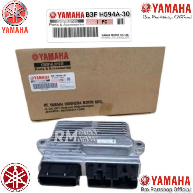 ECU ECM SGCU B3F H594A-30 Type F