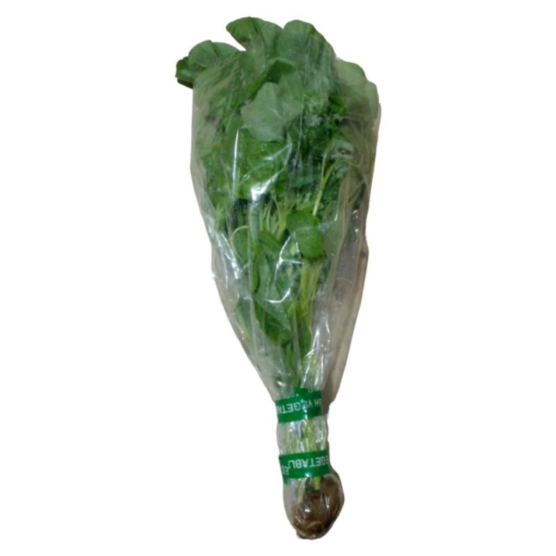 

Sayuran Bayam Hidroponik 200gr