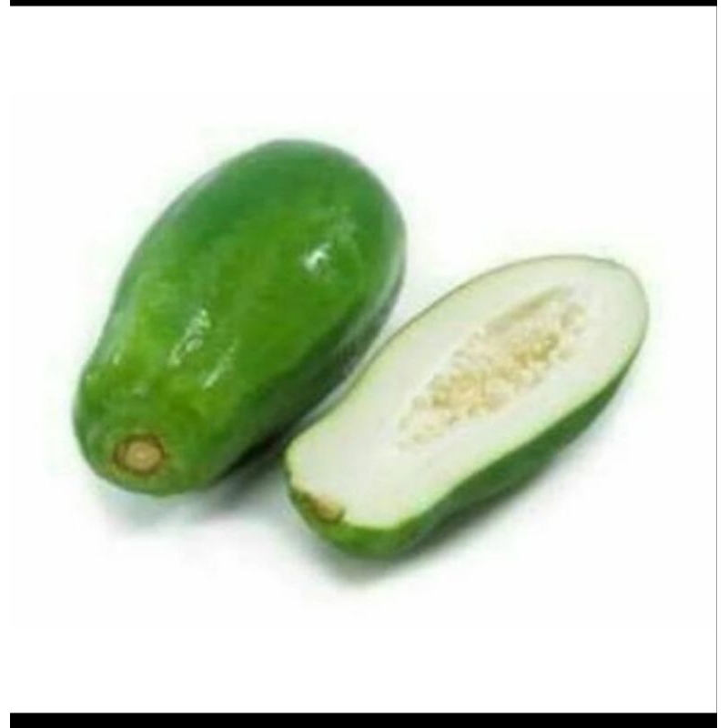 

Buah Pepaya Muda Pepaya Sayur Obat Herbal