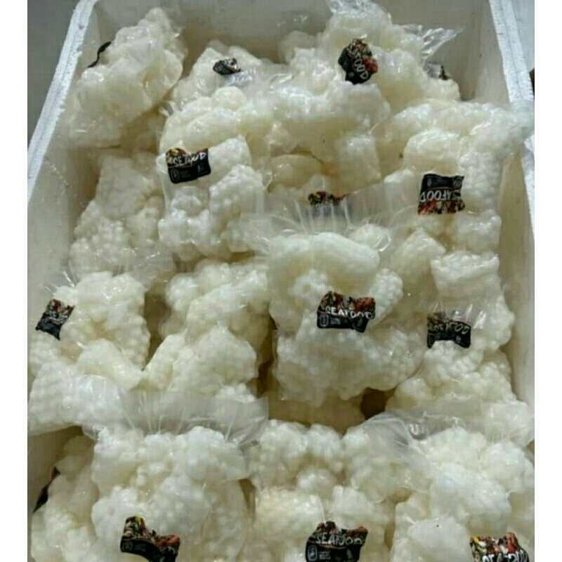 

Kembang Cumi Frozen Termurah