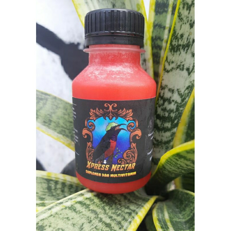 XPRESS NEKTAR PAKAN BURUNG KONIN.SOGON.SRINDIT CAK IJO