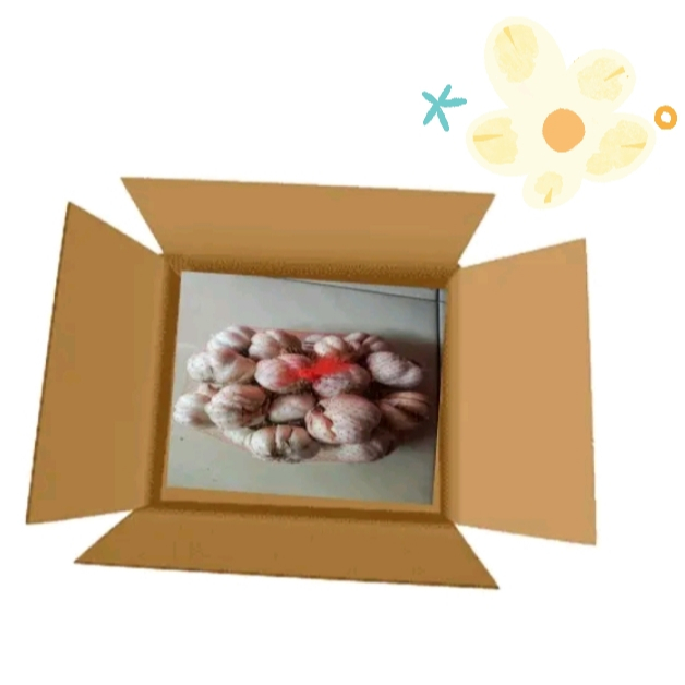 

Bawang putih garlic 500 gram bawang 1/2 kg kiloan sinco