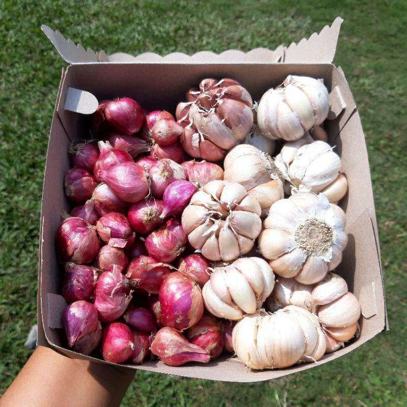 

PAKET BAMER BAPUT 1KG MURAH MERIAH/PAKET BAWANG MERAH BAWANG PUTIH MIX SUPER 1KG MURAH BUNDLING