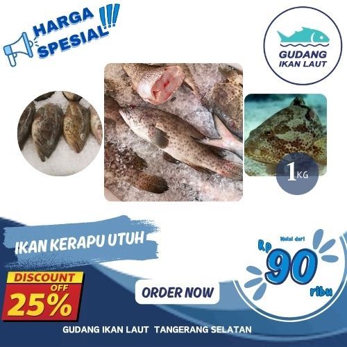 

IKAN KERAPU UTUH LAUT FORZEN FRASH 1KG