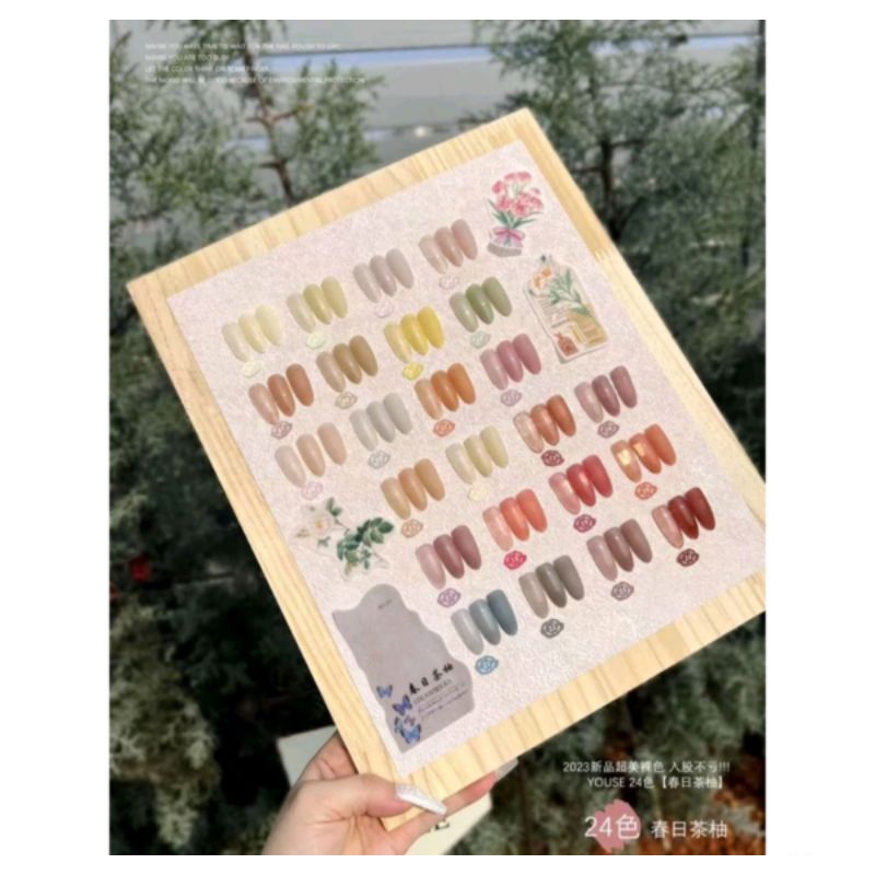 Youse carly salon 24 warna nail gel polish set free frame kutek kuku