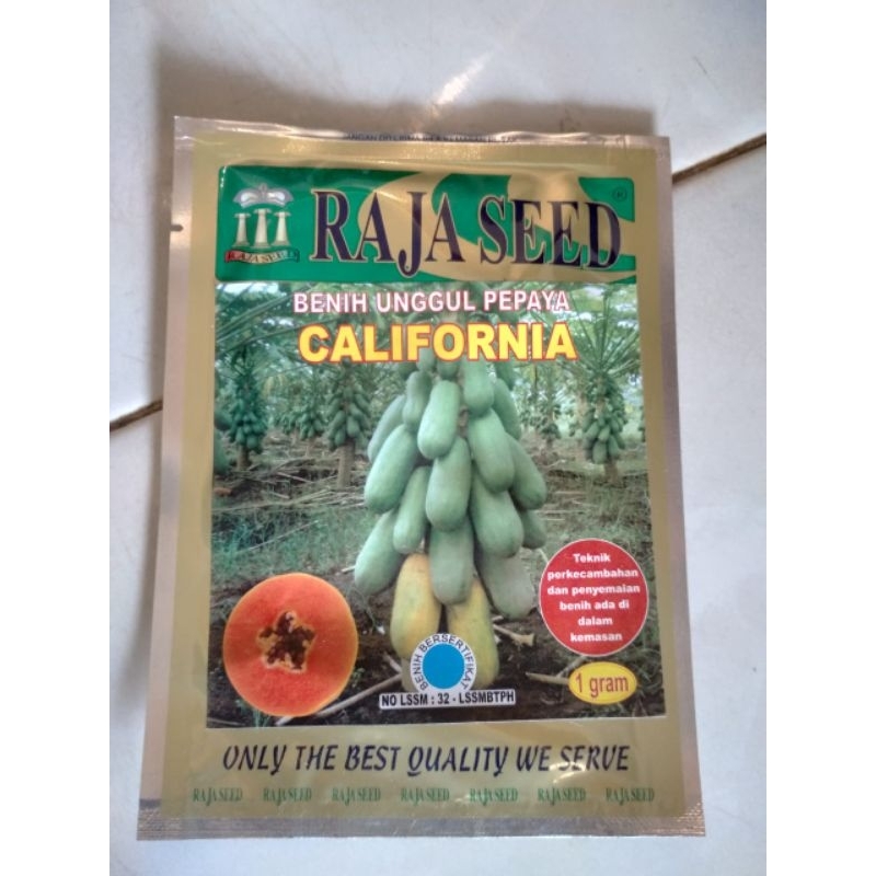Benih unggul pepaya California raja seed 1gram cap Raja seed