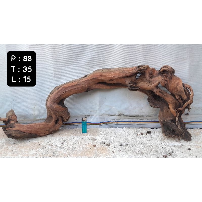 Kayu Aquascape - Kayu Santigi (Besar)