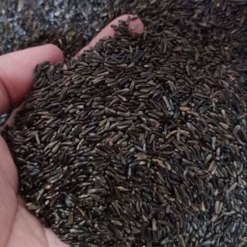 

Niger seed 250