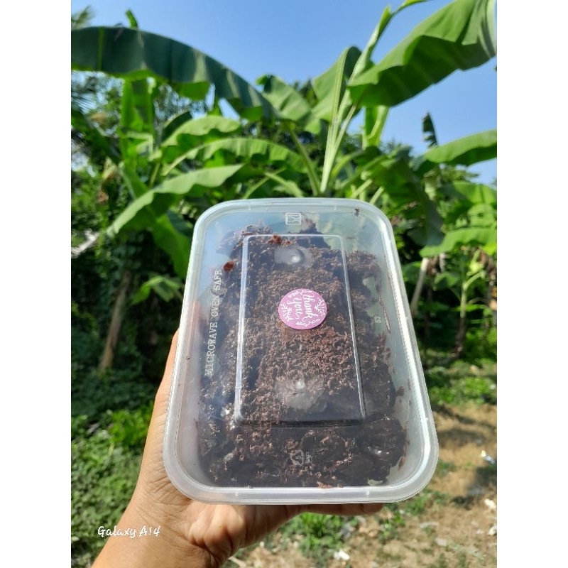 

Kripik pisang coklat lumer 250grm Renyah tanpa pengawet