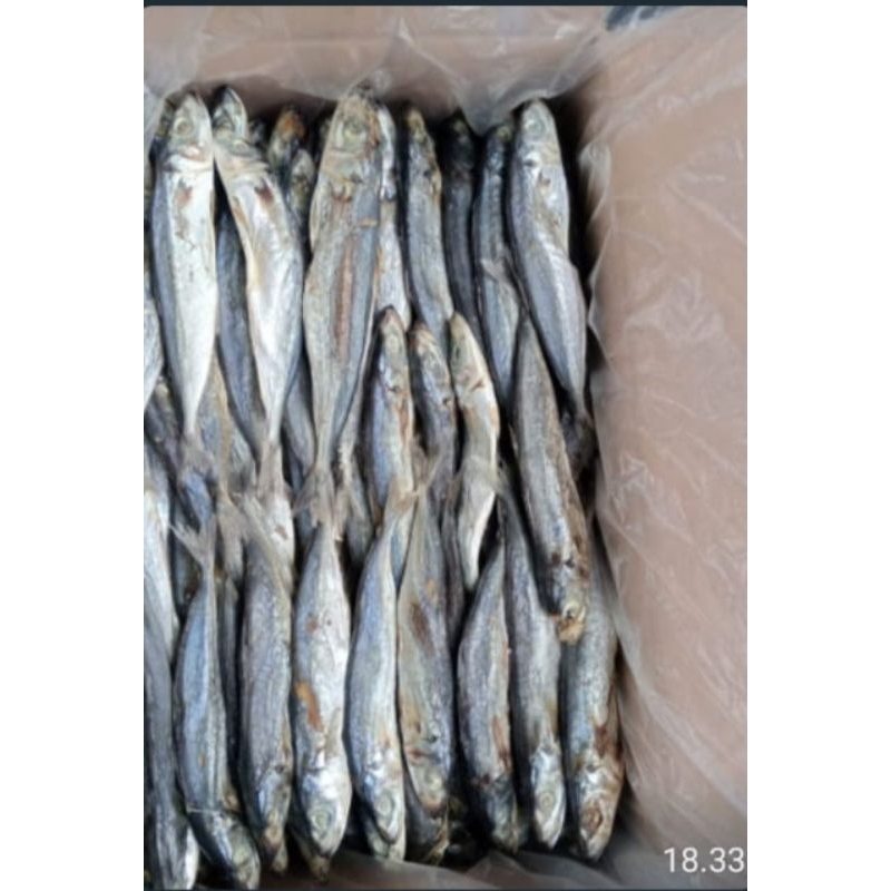 

ikan asin dencis rebus/ ogak rebus perdus isi 13kg