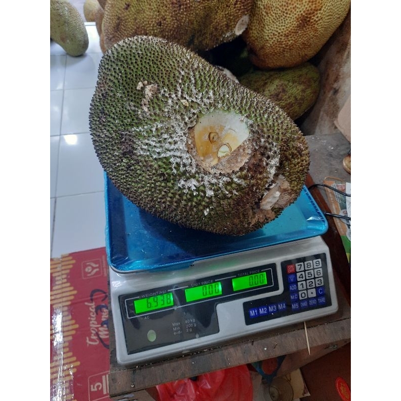 

nangka 1 buah (6-7 kg)