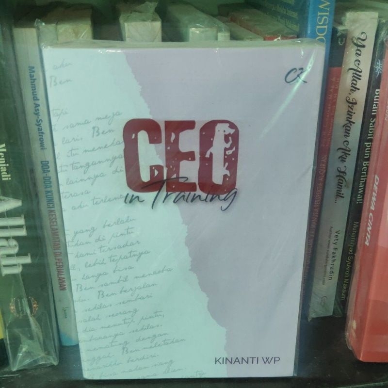 

CEO in training original