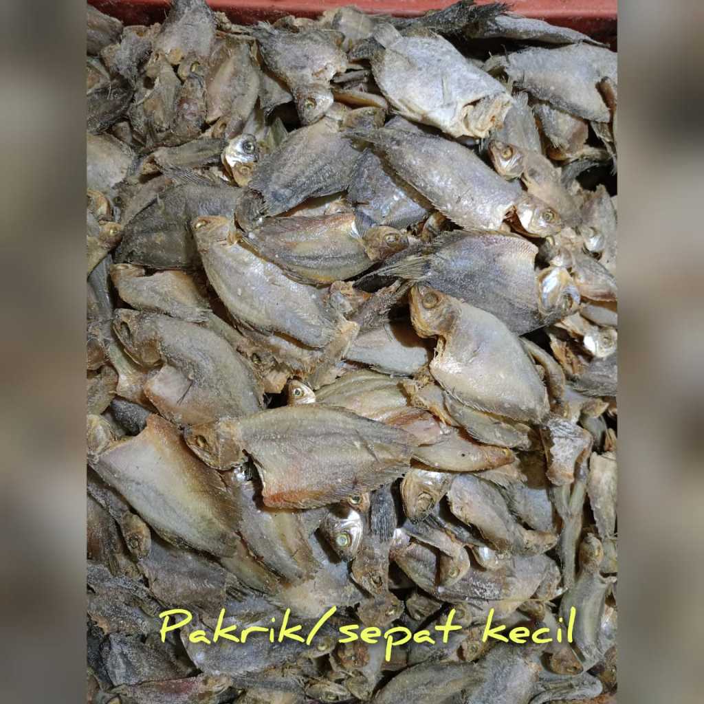 

Ikan Asin Pakrik/ Sepat Kecil Rasa Enak Kualitas Terbaik