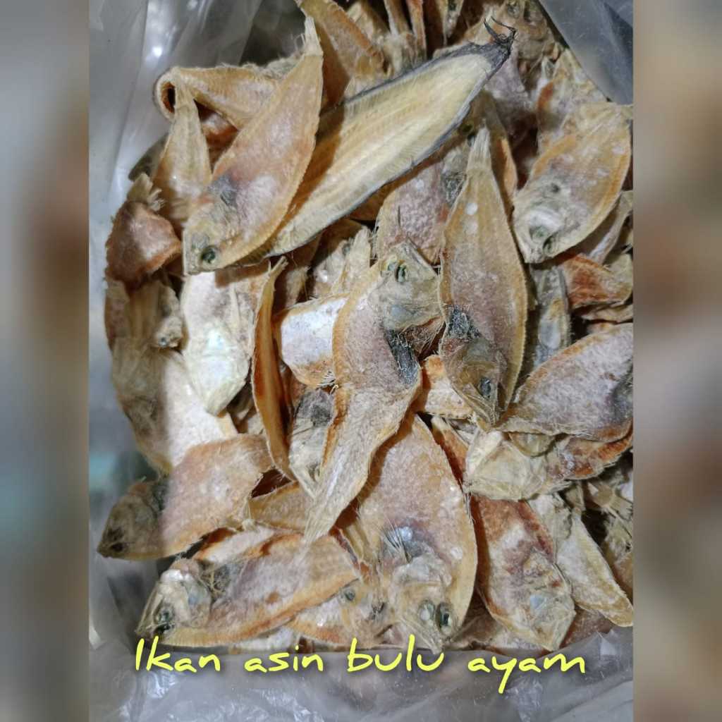 

Ikan Asin Bulu Ayam Original Segar Murah (250gr/500gr/1000gr)