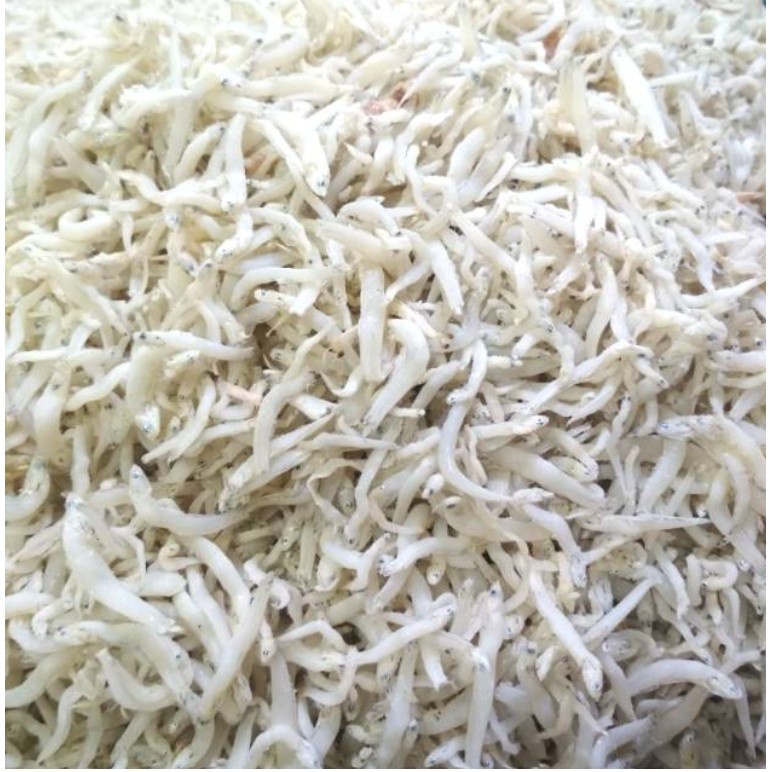 

ikan teri medan