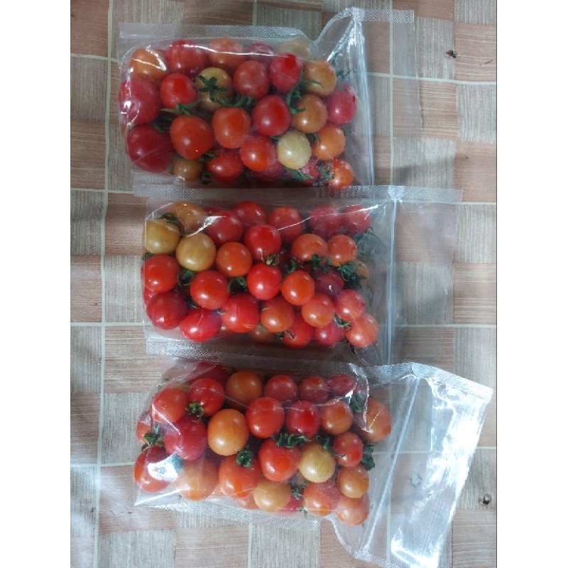 

Tomat Cerry Rampai kecil Buah segar 1 kg