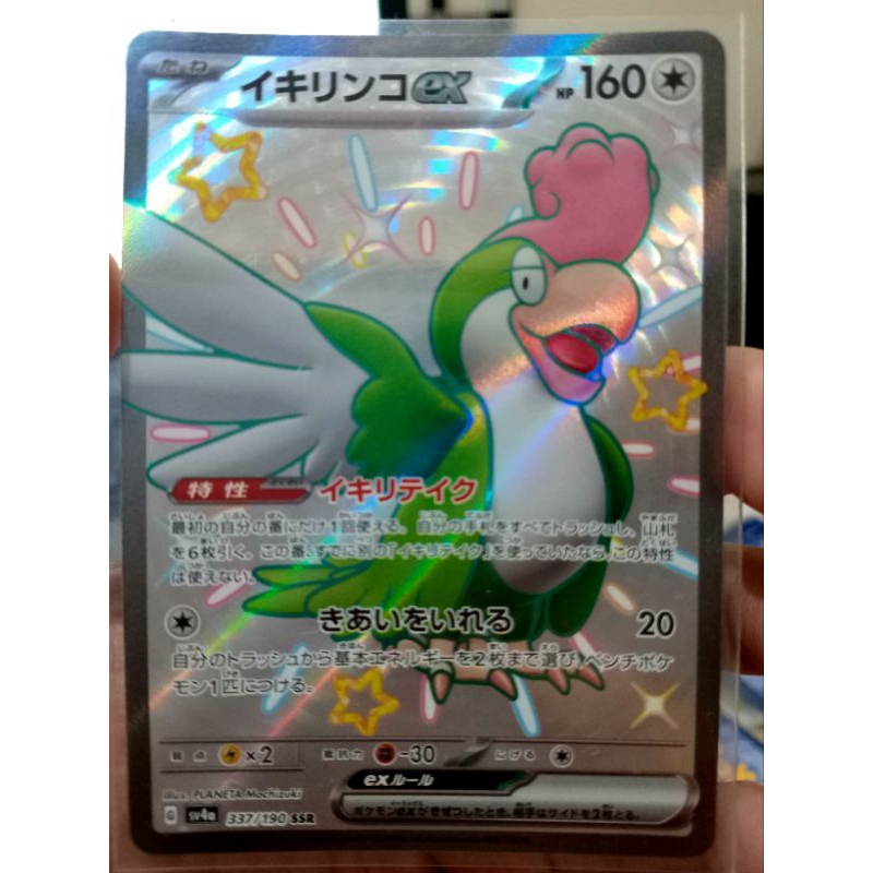 KARTU POKEMON SQUAWKABILLY ex SSR JAPAN HOLO