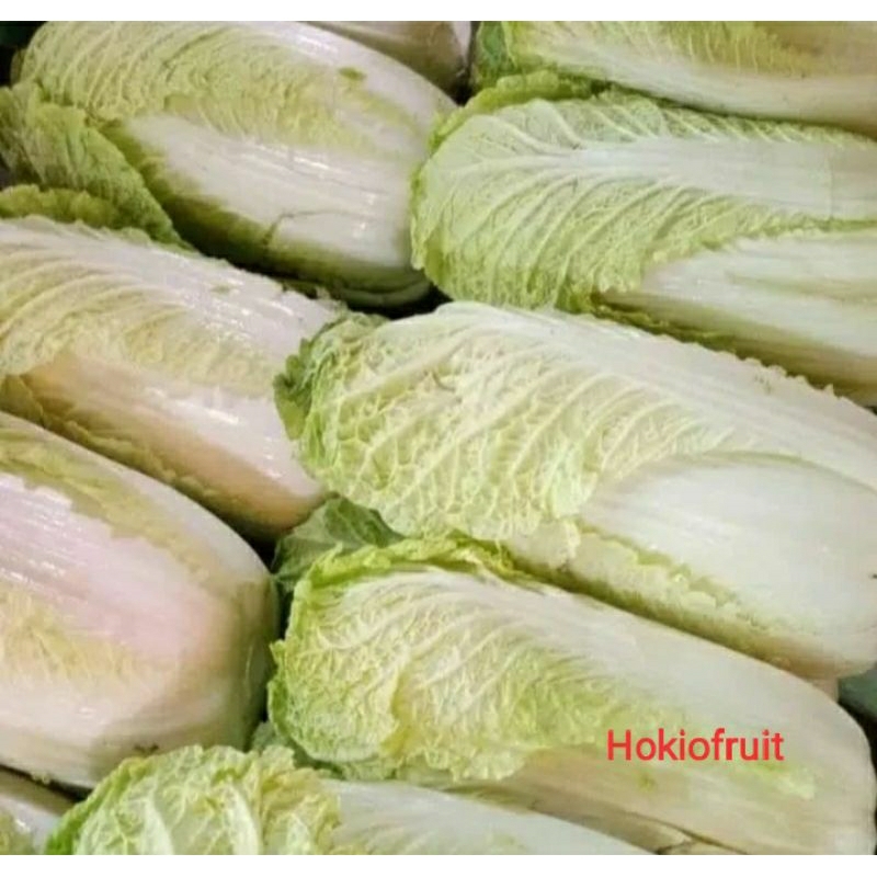 

Sawi Putih/hokkysayur19