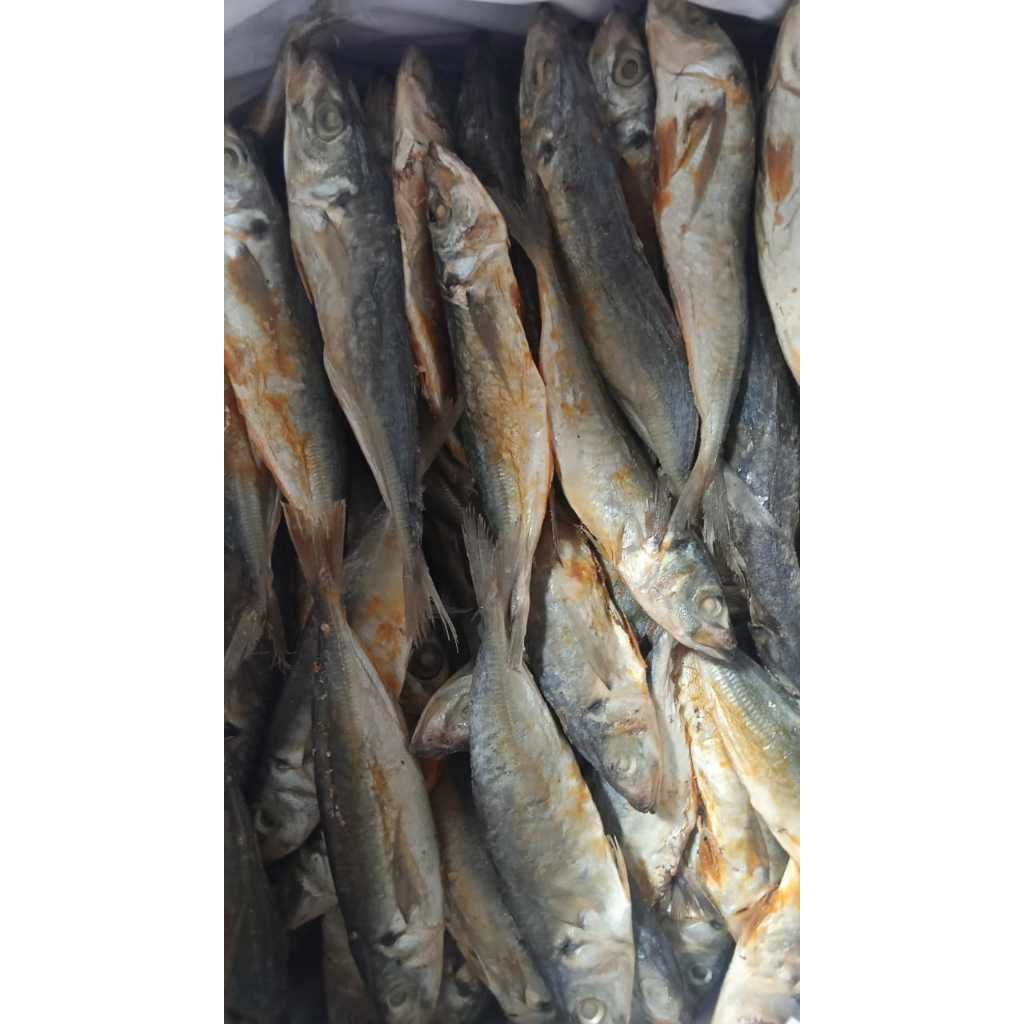 

Ikan Kering Layang 250gr / Ikan Kering Peda Layang Asin Ukuran Besar 250gr / Ikan Asin Klotok Layang MurahK1 SPR