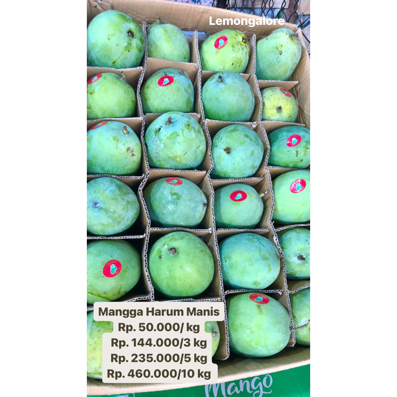 

BUAH MANGGA HARUM MANIS 1 DUS / FRESH MANGO KUALITAS PREMIUM ISI 1 KG