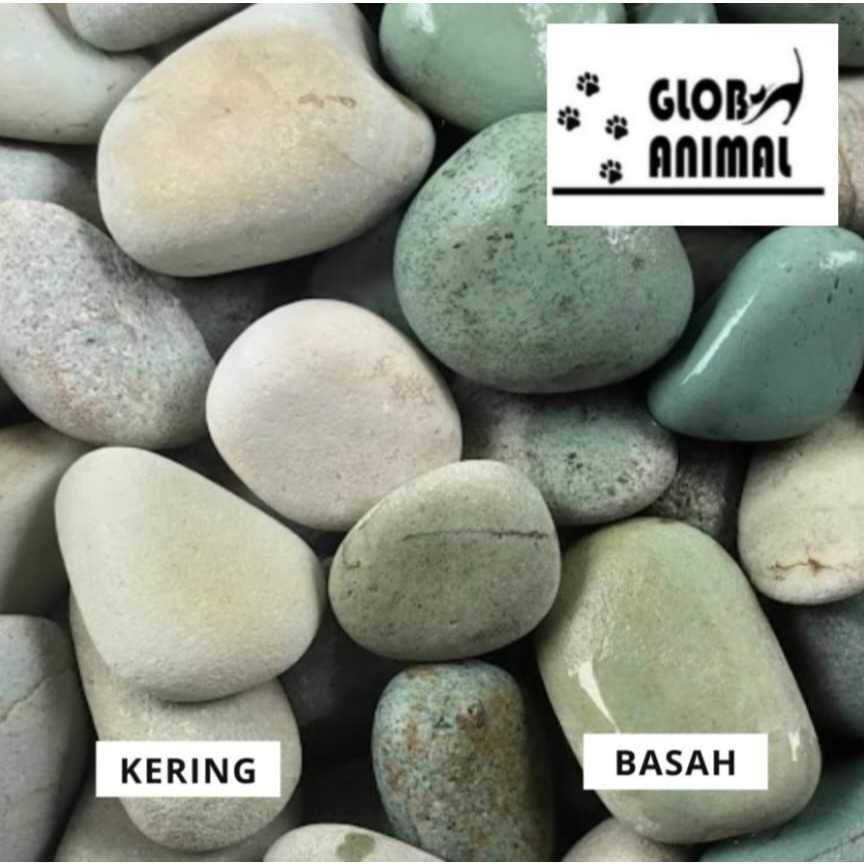 BATU KORAL HIJAU FLORES ECER 500 GRAM batu hijau batu hias taman aquascape