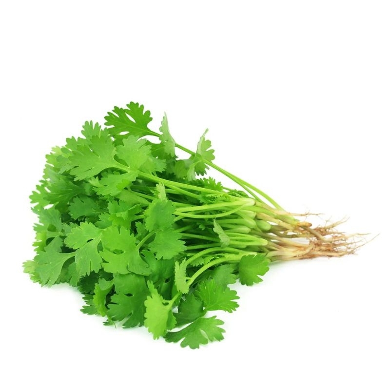 

coriander 100gr