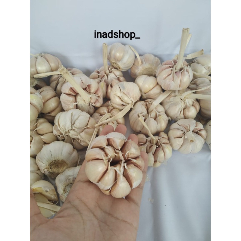 

bawang putih 1 kg