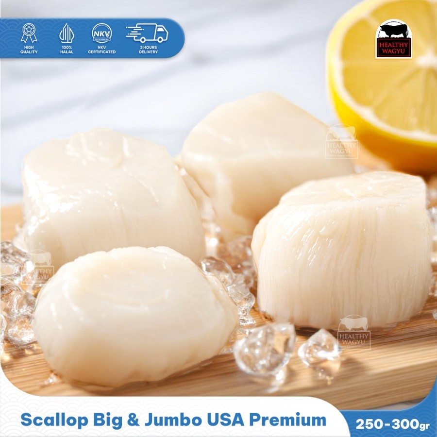 

Scallop Jumbo Import USA Premium 250gr Healthy Wagyu