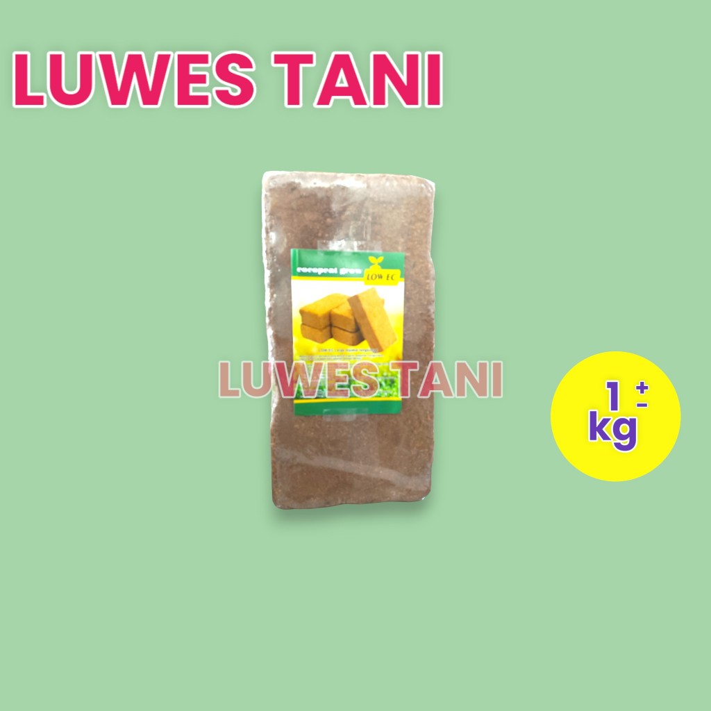 COCOPEAT (BESAR 1 KG) MEDIA TANAM 1KG cocopeat