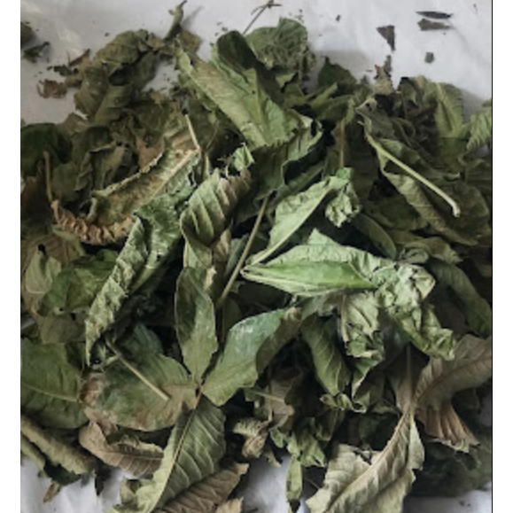 

Daun Kisampang Kering / Daun Ki sampang Kering Alami