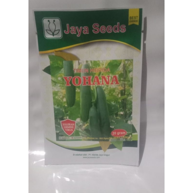 TIMUN HIBRIDA YOHANA 20 gram timun hibrida yohana 20 gram Timun Hibrida Yohana 20 gram benih timun y